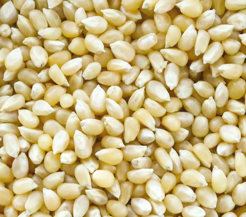 <p>POPCORN JUST<br/>GOT UPGRADED.</p>